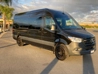 Executive Sprinter Van